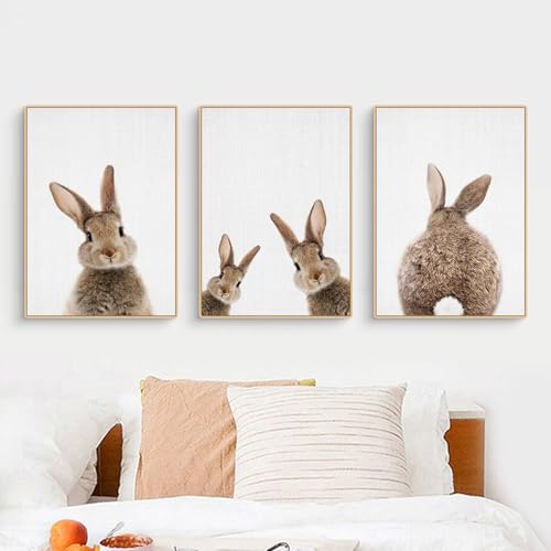 CULASIGN 3er Premium Kaninchen Poster Set, Tiere Hase Bilder Kinderposter Leinwand Wandkunst, Wandbilder Deko für Kinderzimmer Babyzimmer Mädchen Jungen, Ohne Bilderrahmen (30x40cm,MNO) von CULASIGN