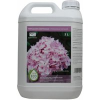 Sorten spezifische Hortensias Ecolygic Lity 5 l Sorten spezifische Hortensias Ecolygic Lity 5 l von CULTIVERS