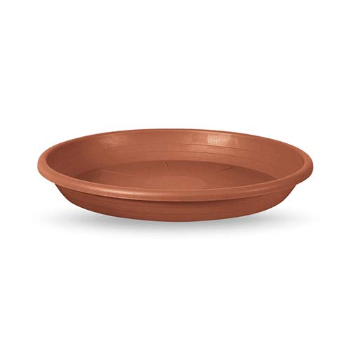 Bellaflor Untersetzer Cilindro rund Ø13cm Terracotta von CURV BAR