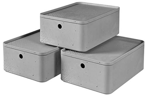 CURVER Aufbewahrungsbox M mit Deckel (8L), 3er Set, Kunststoff, Hellgrau (Beton), Medium von Curver