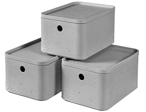 CURVER Aufbewahrungsbox S mit Deckel (4 L), 3er Set, Kunststoff, Hellgrau (Beton), Small von Curver