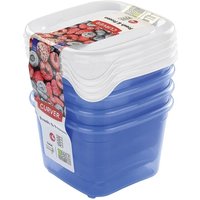 Tiefkühldose 'fresh & frozen' 5er Set von CURVER