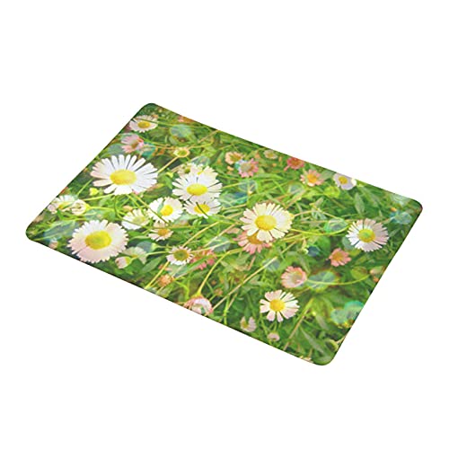 Fußmatte für Innen & Außen, Blume Rose Kaktus Pflanze rutschfeste Fußmatte Bodenteppich Badezimmer Pad - 1# von CUSROS