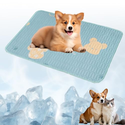 CUVZORA Kühlmatte für Hunde und Katzen, mit niedlichem Bärenkopfmotiv – Kühlmatte, selbstkühlend, 60 x 45 cm, ideal für Zuhause & Reise für kleine und mittelgroße Tiere von CUVZORA