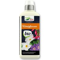 Flüssigdünger für Kübelpflanzen 800 ml Blumendünger Pflanzendünger - Cuxin von CUXIN