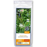 Dcm Naturapy Thrips-Falle 10 Stück Gwittertierchen Lockwirung Monitoring von CUXIN
