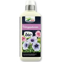 Flüssigdünger für Hängepetunien 800 ml Petuniendünger Surfiniendünger - Cuxin von CUXIN
