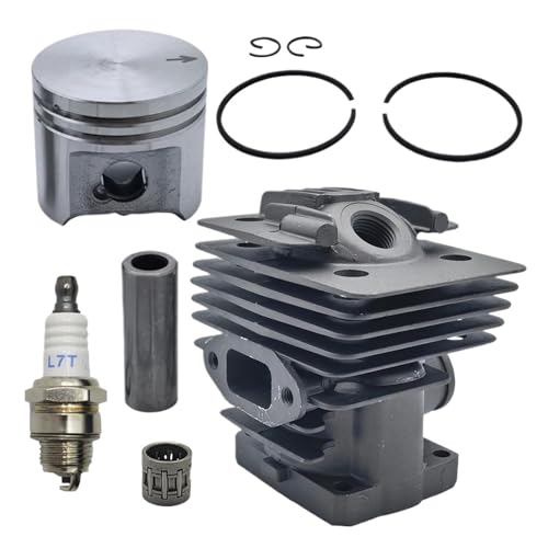 CVAADV 38 mm Zylinderkolben-Nadellagersatz, kompatibel mit FS220 FS160 FR220 FS180 FS 220 K Freischneider 4119 020 1204, Ersatzteile CVAADV 38 mm Zylinderkolben-Nadellagersatz, kompatibel mit FS220 FS160 FR220 FS180 FS 220 K Freischneider 4119 020 1204, Ersatzteile von CVAADV