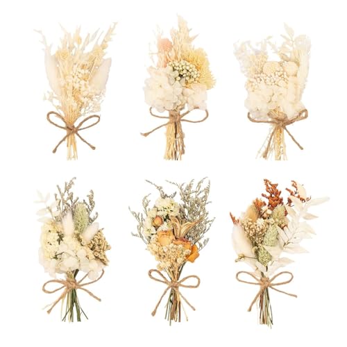CVFRTT 6 Sträuße Aus Trockenblumen, Trockenblumenstrauß, Desktop-Vasendekoration, Trockenblumen-Basteldekoration, Heimdekoration, Kleine Trockenblumen Im Fotorahmen CVFRTT 6 Sträuße Aus Trockenblumen, Trockenblumenstrauß, Desktop-Vasendekoration, Trockenblumen-Basteldekoration, Heimdekoration, Kleine Trockenblumen Im Fotorahmen von CVFRTT