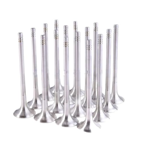 Motorventile 16 Teile Motor Einlass-und Auslassventile Fit Für VW Fit Für Audi 1,4 TSI CAV CTH CNW CTK CTH EA111 Turbo Magnetventil von CVPX