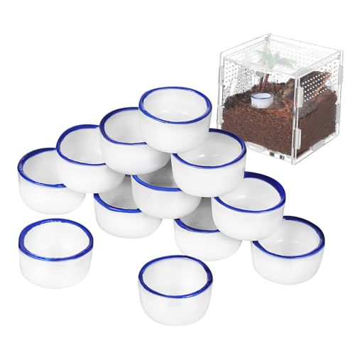 CVUTOVO 12 Stück Teiliges Mini Keramik Reptilien Wassernapf Runde Futter und Trinkschalen für Spinnen Skorpione und Kleine Reptilien Sichere Glatte Oberfläche als Terrarienzubehör CVUTOVO 12 Stück Teiliges Mini Keramik Reptilien Wassernapf Runde Futter und Trinkschalen für Spinnen Skorpione und Kleine Reptilien Sichere Glatte Oberfläche als Terrarienzubehör von CVUTOVO