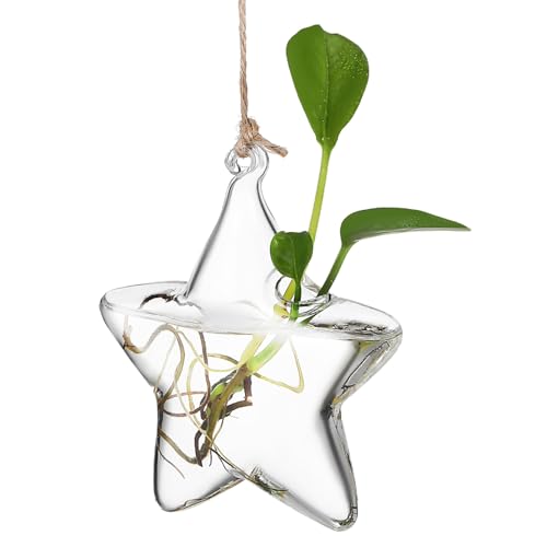 CVUTOVO Klare Glasvase In Form Einer Hängenden Mini Hydrokulturvase Für Den Nachttisch Runde Vase Klein Dekorativ Ästhetisch Dekoration Für Den Innenbereich Flasche Sukkulente von CVUTOVO