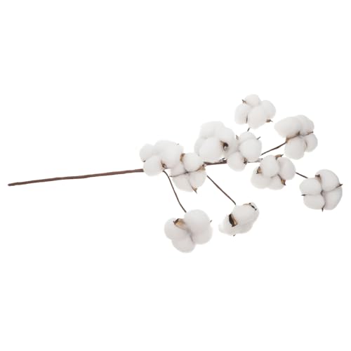 CVUTOVO Köpfe Getrocknete Baumwollstiele Künstliche Blumen im Bauernhausstil Biegsame Stängel Weißer Floraldekor Füller DIY Hochzeits und Wohnraumdekoration von CVUTOVO