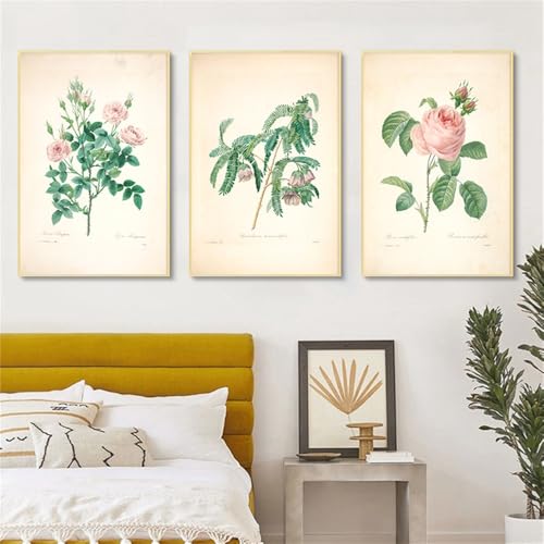 Leinwand Wandkunst-Set von 3-Blumen Botanische Abstrakte Leinwand Malerei Vintage Pflanzen Poster Wand Kunst Retro Floral Bilder für Wohnzimmer Büro Zu Hause Dekoration-40 * 50cm (Ungerahmt) von CWBLYZ