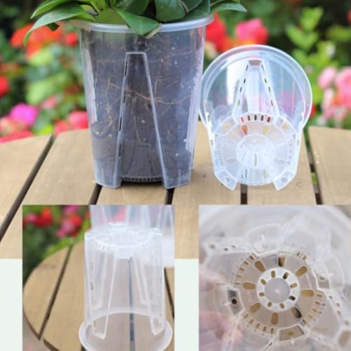 5 transparente Orchideen-Blumentöpfe mit Löchern und Tabletts für effektives Wassermanagement (16 cm) von CWOQOCW