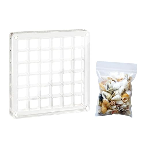 1 Stück Muschel-Displaybox, 1 Packung Muscheln, Muschel-Aufbewahrungsbox, Muschelproben-Display, Hochtransparente Muschelbox, Magnetfach-Displaybox, Geeignet Für Muscheln Und Schmuck von CWPFVQA