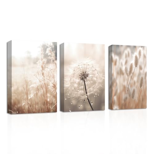 CXHOSTENT Löwenzahn Leinwand Wandbilder 3-teilige beige botanische Löwenzahn Schilfgras Kunstdrucke nordische Poster Naturpflanzen Wildblumenbilder (B, 40.00 x 60.00 cms x 3PCS) von CXHOSTENT