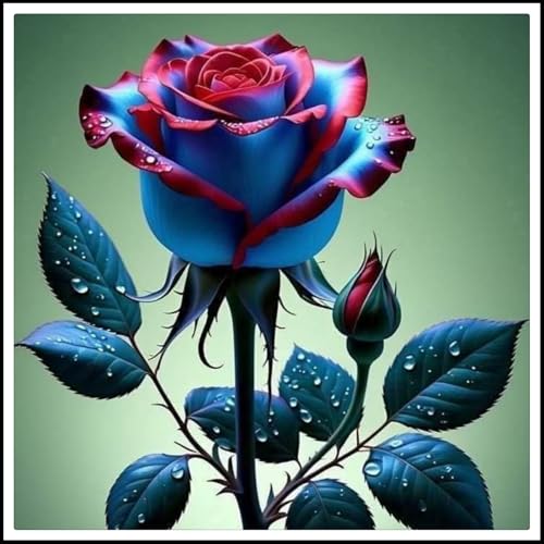 【CXXFGFT】-Rosenzwiebeln - Rosenwurzeln-Rosenkletterpflanzen- Hochzeitsblumen - Winterharte Stauden-5 Rhizome-F von CXXFGFT