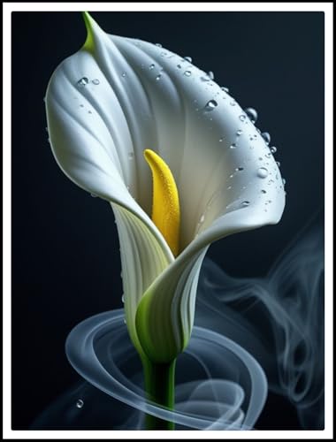 Calla Lilien Rhizome/pflegeleicht/Trockenheitsresistent und kälteresistent///-【CXXFGFT】-8 Rhizome-C Calla Lilien Rhizome/pflegeleicht/Trockenheitsresistent und kälteresistent///-【CXXFGFT】-8 Rhizome-C von CXXFGFT