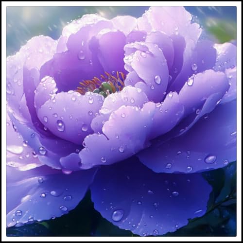 Pfingstrosen-Rhizome/Winterharte Stauden/Schöne Schnittblumen/Geeignet zum Pflanzen im Garten oder im Freien/Pfingstrosenzwiebeln/CXXFGFT-4 zwiebeln-C Pfingstrosen-Rhizome/Winterharte Stauden/Schöne Schnittblumen/Geeignet zum Pflanzen im Garten oder im Freien/Pfingstrosenzwiebeln/CXXFGFT-4 zwiebeln-C von CXXFGFT