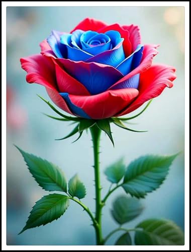 Rosenzwiebeln - Winterharte Stauden- Rosenwurzeln-Rosenkletterpflanzen- Hochzeitsblumen ///-【CXXFGFT】-4 Rhizome-G von CXXFGFT