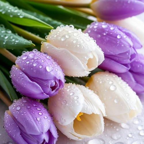 Tulpenzwiebeln/Tulpenpflanzen/Geeignet zum Pflanzen im Garten oder im Freien/Schöne Schnittblumen/Winterharte Stauden/CXXFGFT-8 zwiebeln-B Tulpenzwiebeln/Tulpenpflanzen/Geeignet zum Pflanzen im Garten oder im Freien/Schöne Schnittblumen/Winterharte Stauden/CXXFGFT-8 zwiebeln-B von CXXFGFT
