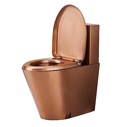 Gewerbliche Toilette, Toiletten, 304 Edelstahl Gewerbe-WC - Hocheffiziente Wassersparende einteilige Toilette, Doppelspülung mit Soft-Closing Sitz von CXYZM