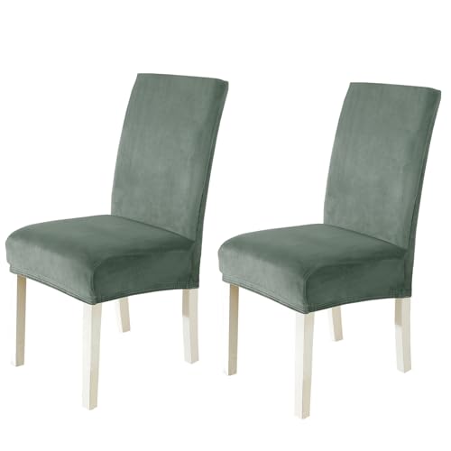 CYCMACO Stuhlhussen Samt 2er Set, Stretch Stuhlüberzieher, Stuhlbezug Schwingstuhl, Hussen Für Stühle Hochlehner, Stuhlbezüge Kratzfest, Universal Chair Cover Waschbarer, Bohnengrün von CYCMACO