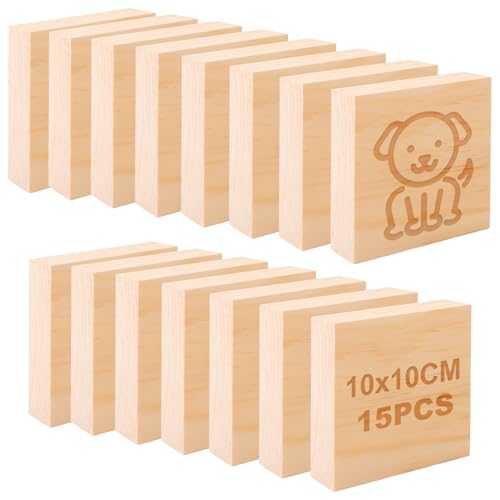 CYEER 15 Stück Holzblock 10x10x2,5CM, Unbearbeitete Holzblöcke für Kunst und Handwerk, MDF-Holzplatte Holz quadratische Blöcke Handwerk Panels ideal für Kunsthandwerk, Malerei, DIY-Projekte von CYEER