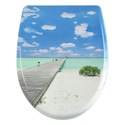 Toilettensitz Ovaler Toilettendeckel Duroplast Toilettensitz Soft-Close Antibakteriell Mit Schnellverschlussfunktion for Badezimmerteile(Color10) von CYMMIYT