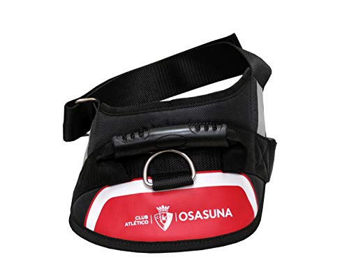ATLÉTICO OSASUNA CF Hundegeschirr, gepolstert, atmungsaktiv, verstellbar, reflektierend, für große Hunde, Größe L, 3 Größen erhältlich, Teamfarben, offizielles Produkt (CyP Brands) von CYPBRANDS