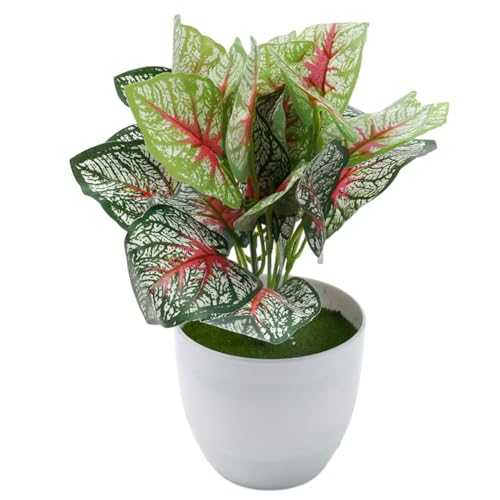 CYRENT Künstliche Bonsai-Pflanze, lebendig, klein, Topfgrün, lichtecht, Schreibtisch-Dekoration für Zuhause, Büro, Restaurant, Hotel (Nr. 3) von CYRENT