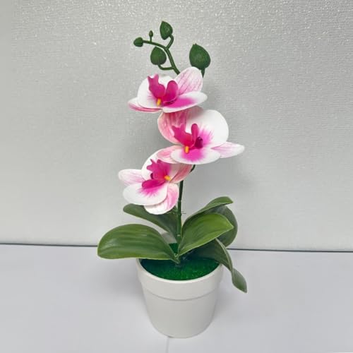 CYRENT Künstliche Orchidee, Bonsai, realistisch, dreiblättrig, Phalaenopsis-Bonsai in weißen Töpfen, für Zuhause, Büro, Garten, Dekoration (lila-weiß) von CYRENT