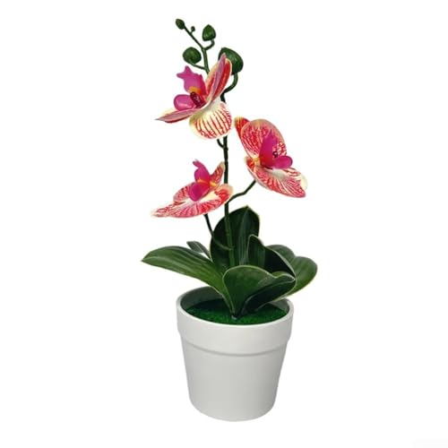 CYRENT Künstliche Orchidee, Bonsai, realistische dreiblättrige Phalaenopsis-Bonsai in weißen Töpfen, für Zuhause, Büro, Garten, Dekoration (rosarotes Muster) von CYRENT