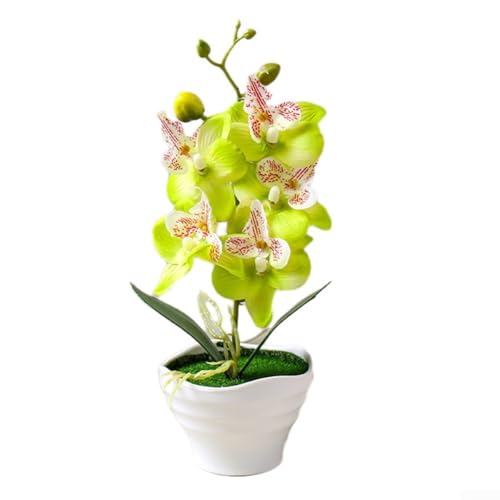 CYRENT Künstliche Phalaenopsis-Orchidee, Bonsai-Set mit 5 Blütenköpfen, Topfpflanze, Heimbüro, Dekoration, 27 cm Höhe (grün) von CYRENT