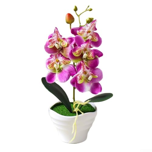 CYRENT Künstliche Phalaenopsis-Orchidee, Bonsai-Set mit 5 Blütenköpfen, Topfpflanze, Heimbüro, Dekoration, 27 cm hoch (lila) von CYRENT