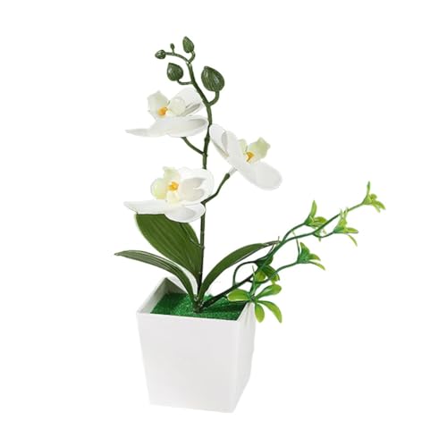 CYRENT Realistische künstliche Phalaenopsis-Blumen-Ornamente, künstliche Orchidee im Topf für Zuhause, Büro, Hochzeit, Party, Dekoration (weiß) von CYRENT