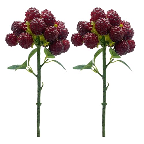 2 Stück Künstlicher Himbeer-Fruchtzweig, Künstlicher Beeren-Fruchtstrauß, Simulierte Lorbeer-Topfpflanze, Roter Beerenzweig mit Blättern, Künstlicher Fruchtstiel für(Inspirierte Pflaume) von CYYZB