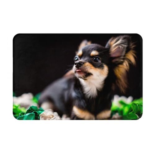 CYZJPRVN Chihuahua-Hund süß, Fußmatte, Badematte, rutschfeste Bodenmatte, weiche Badezimmerteppiche, saugfähige Badezimmerunterlage, 40 x 60 cm von CYZJPRVN