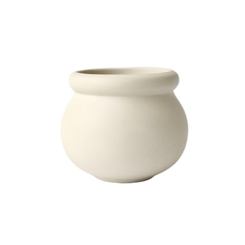 CYairong-22 Pflanzengefäße Exquisiter runder Blumentopf aus Ton mit Retro-Persönlichkeit, for Zuhause, saftige grüne Pflanze, eingetopft, Mini-Rundtopf, atmungsaktiv und perforiert Blumentöpfe(Weiß) von CYairong-22