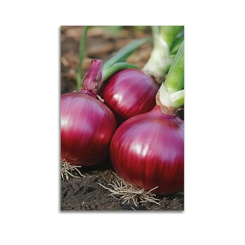 Moderne Familien-Leinwandkunst, Dekor-Poster, Pflanzen-Poster, frische rote Zwiebeln im Boden, natürliche Ernte, Dekoration, Kunst, 60 x 90 cm, ungerahmter Stil Moderne Familien-Leinwandkunst, Dekor-Poster, Pflanzen-Poster, frische rote Zwiebeln im Boden, natürliche Ernte, Dekoration, Kunst, 60 x 90 cm, ungerahmter Stil von CZHXYZ
