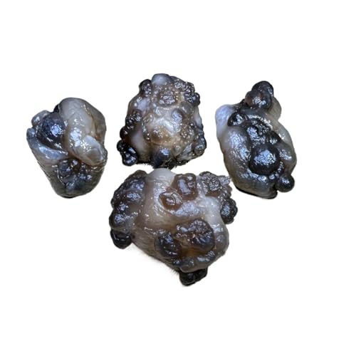 CZMDKEXM 1pcs 20-30g Stone Grade A Agate Crystal Cave Agate Quartz von CZMDKEXM