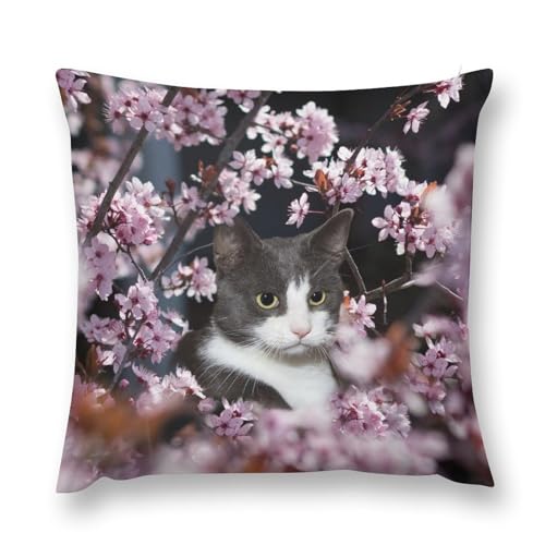 Kissenbezug 30 cm x 30 cm Verdeckter Reißverschluss Blume Würdevolle Katze Kissenbezug für Wohnzimmer Schlafzimmer Sofa Kissenbezug 30 cm x 30 cm Verdeckter Reißverschluss Blume Würdevolle Katze Kissenbezug für Wohnzimmer Schlafzimmer Sofa von CZZYH