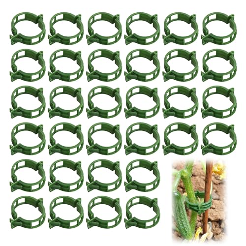 200 Stück Pflanze Clips Kunststoff Tomatenringe Tomatenclips Pflanzenclips Pflanzenklammern Rebe Clips Pflanzenklammern Gurkenclips Rankhilfe für Gemüse Tomate Pflanze Unterstützung Reben - Grün von CZlinOduMMX