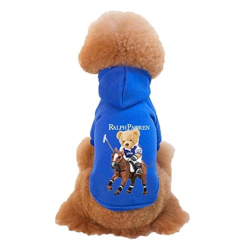 Hundepullover Winter warme Haustier Hund Kleidung süße Bär Hunde Hoodies for Welpen kleine mittelgroße(Blue,XXL) von CaFfen