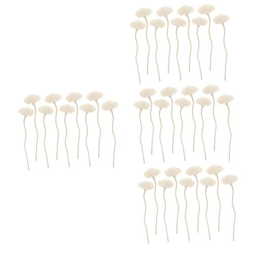 Cabilock 4 Sets Home Sticks Diffusoren Blumendiffusorstangen Rattan-diffusorstäbchen Parfümdiffusor Für Schlafzimmer 9 Stück * 4 von Cabilock