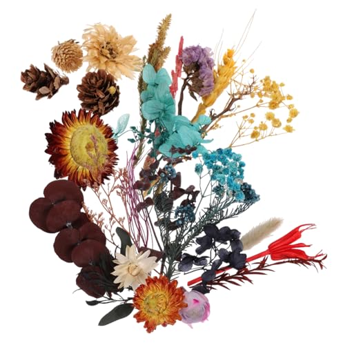 Cabilock 1 Satz Getrocknete Blumenmaterialien Getrocknete Lavendelknospen Natürlich Trockenblumenstrauß Mini Gedrückt Trockenblumenkombinationen Trockenblumen Basteln 2boxen von Cabilock