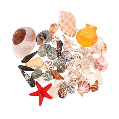 Cabilock 1 Satz Shell-Dekoration-Ornament Kleiner Fischtank Muscheln Aquarium für Fisch Ornamente bürodeko aquaristik zubehör tischdeko esstisch Aquarienverzierung Teich Muschel Harz von Cabilock