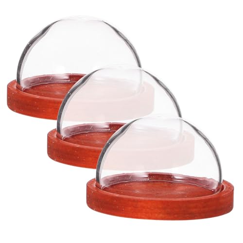Cabilock 1 Satz Teiliges Set Mini Glasglocke Mit Holzsockel Transparente Kuppel Für Pflanzen Und Dekoration Für Tischaufsätze Und Kreative Displays 3 Stück von Cabilock