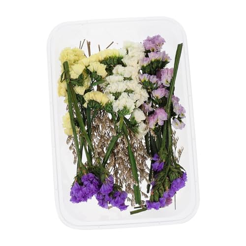 Cabilock 1 Schachtel Getrocknete Blumen dekorative Blumen Herzstück Tischdekoration Blumen zur Dekoration Trockenblumen für die Vase Hochzeit getrocknete Blume Getrocknete Blumendekoration von Cabilock